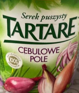 Zdjęcia - Tartare Serek puszysty cebulowe pole 140 g