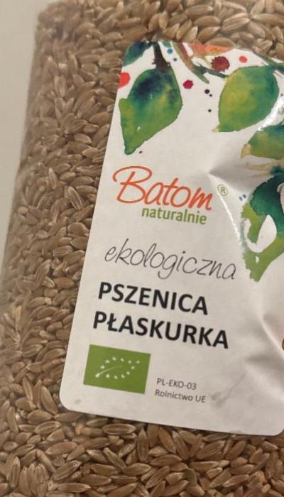 Zdjęcia - Ekologiczna pszenica płaskurka Batom naturalnie