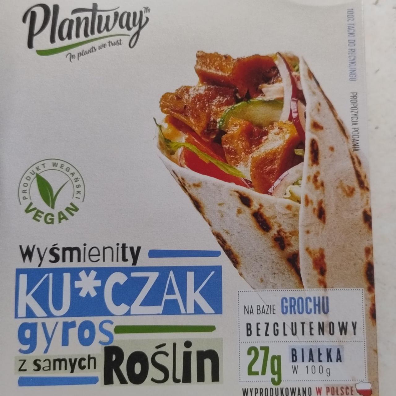 Zdjęcia - Wyśmienity kurczak gyros z samych roślin Plantway