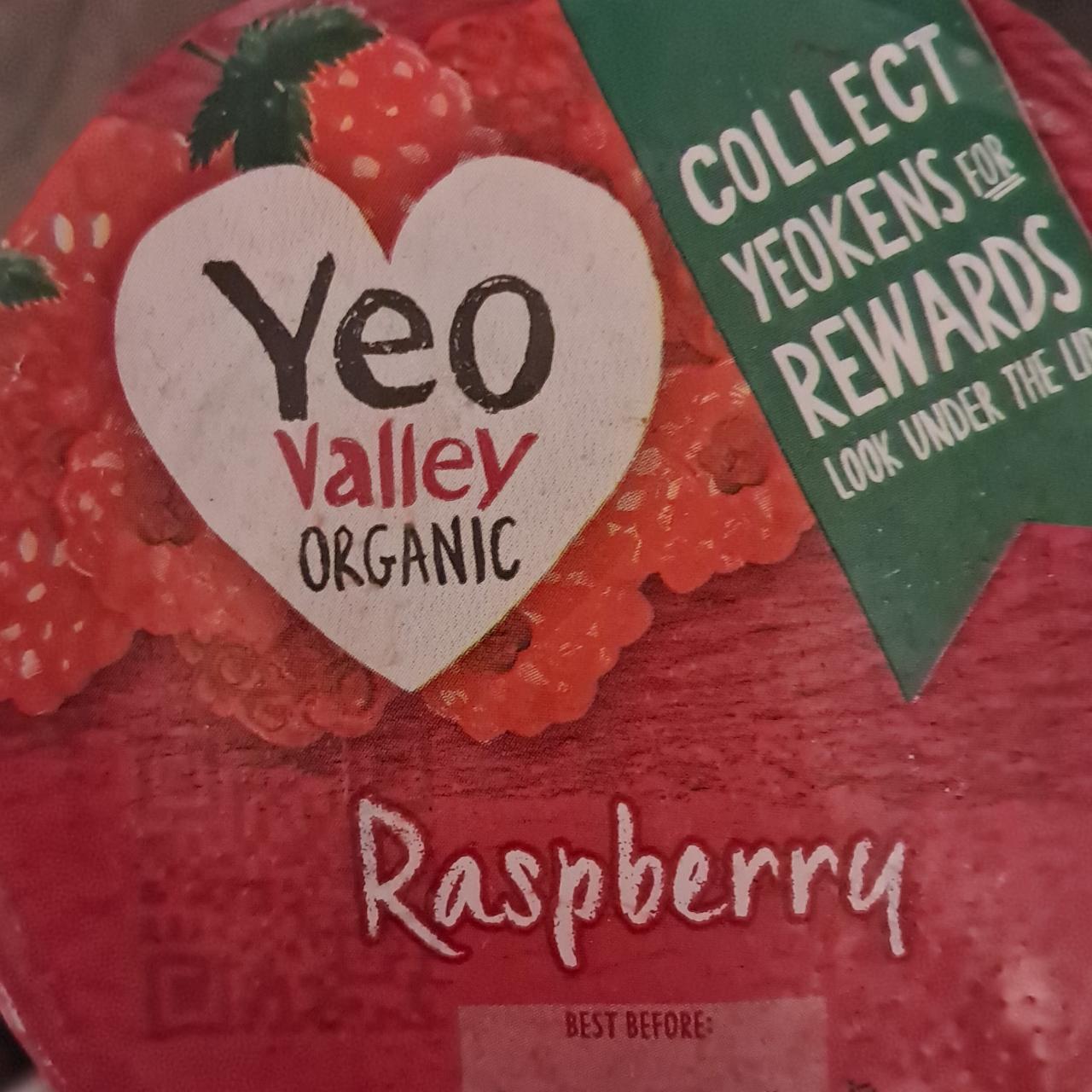 Zdjęcia - Raspberry yogurt Yeo valley organic