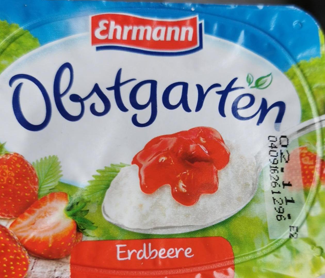 Zdjęcia - Obstgarten erdbeere Ehrmann