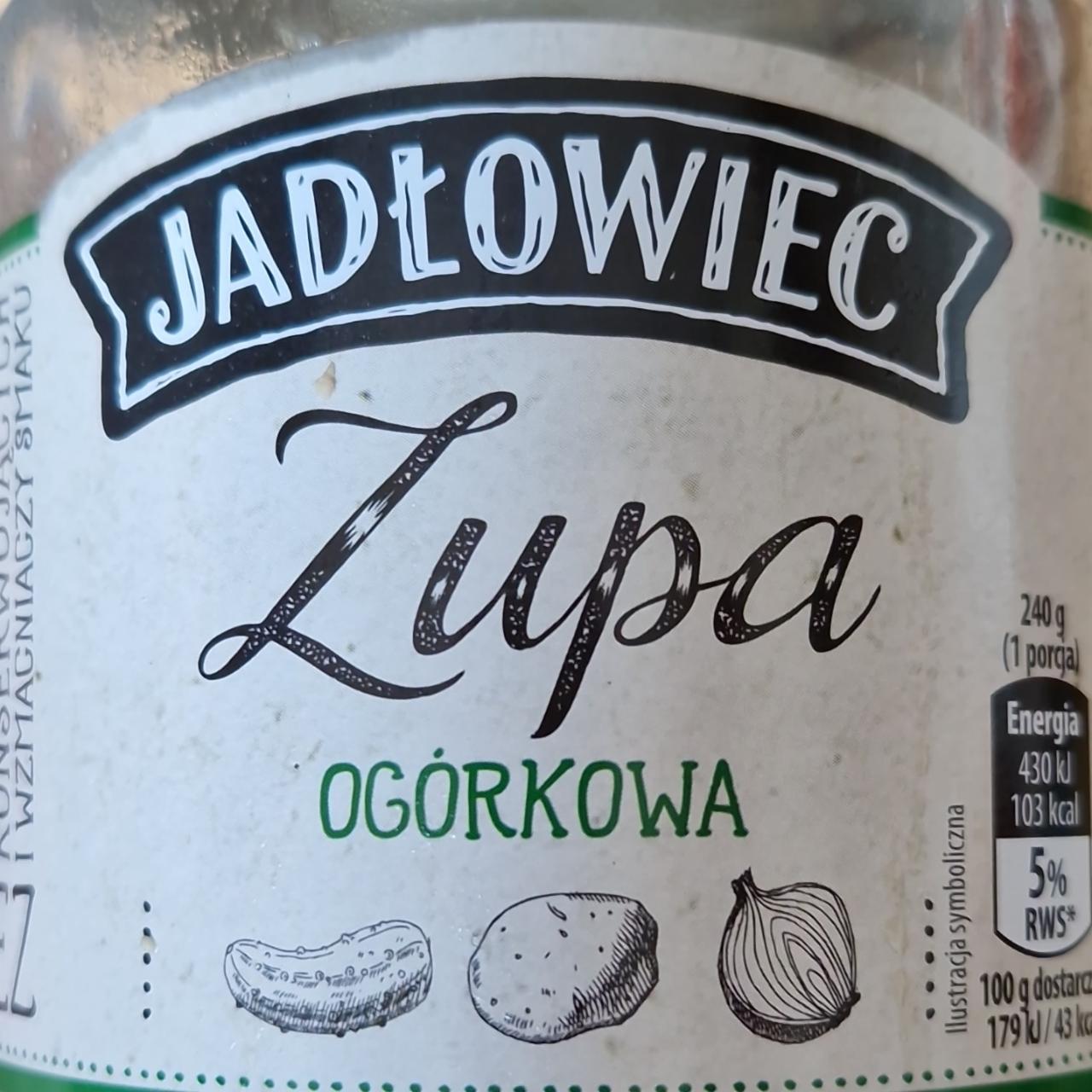 Zdjęcia - Zupa ogórkowa Jadłowiec