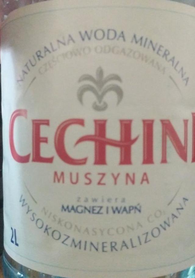 Zdjęcia - Woda mineralna Cechini Muszyna