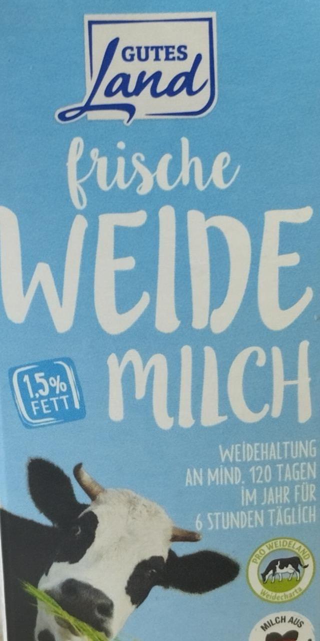 Zdjęcia - Frische weide milch Gutes Land