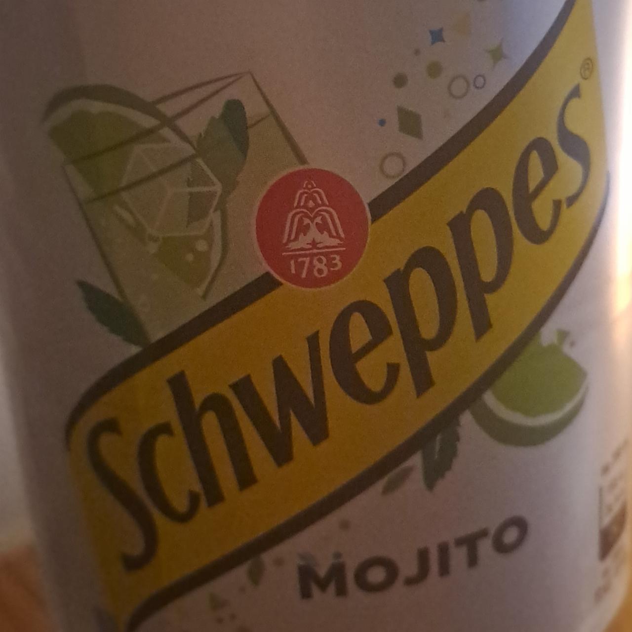 Zdjęcia - Mojito Schweppes