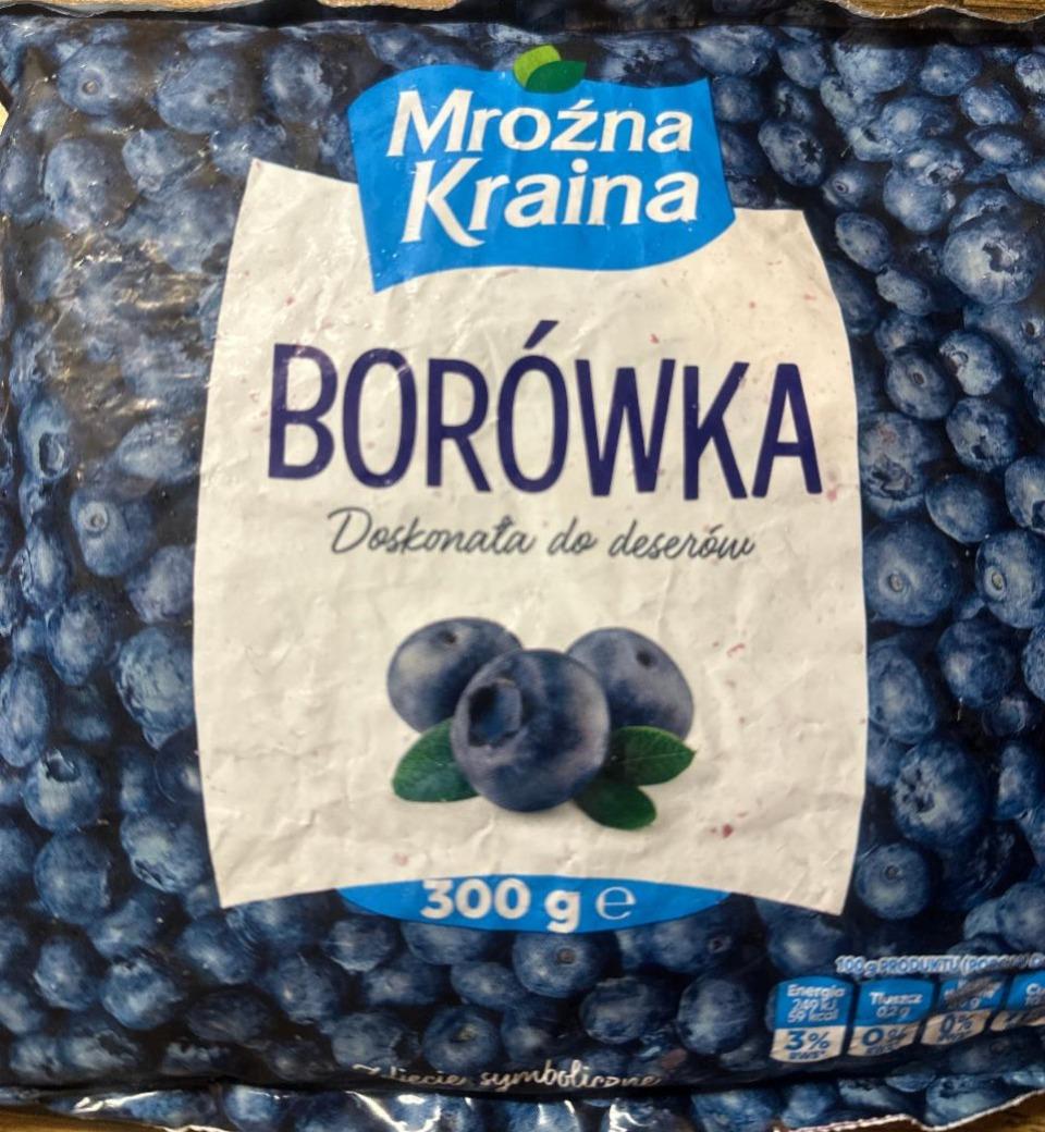 Zdjęcia - Borówka mrożone Mrożna Kraina