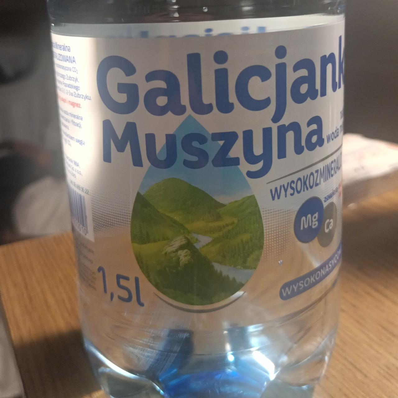 Zdjęcia - woda mineralna Galicjanka wysokonasycona CO2