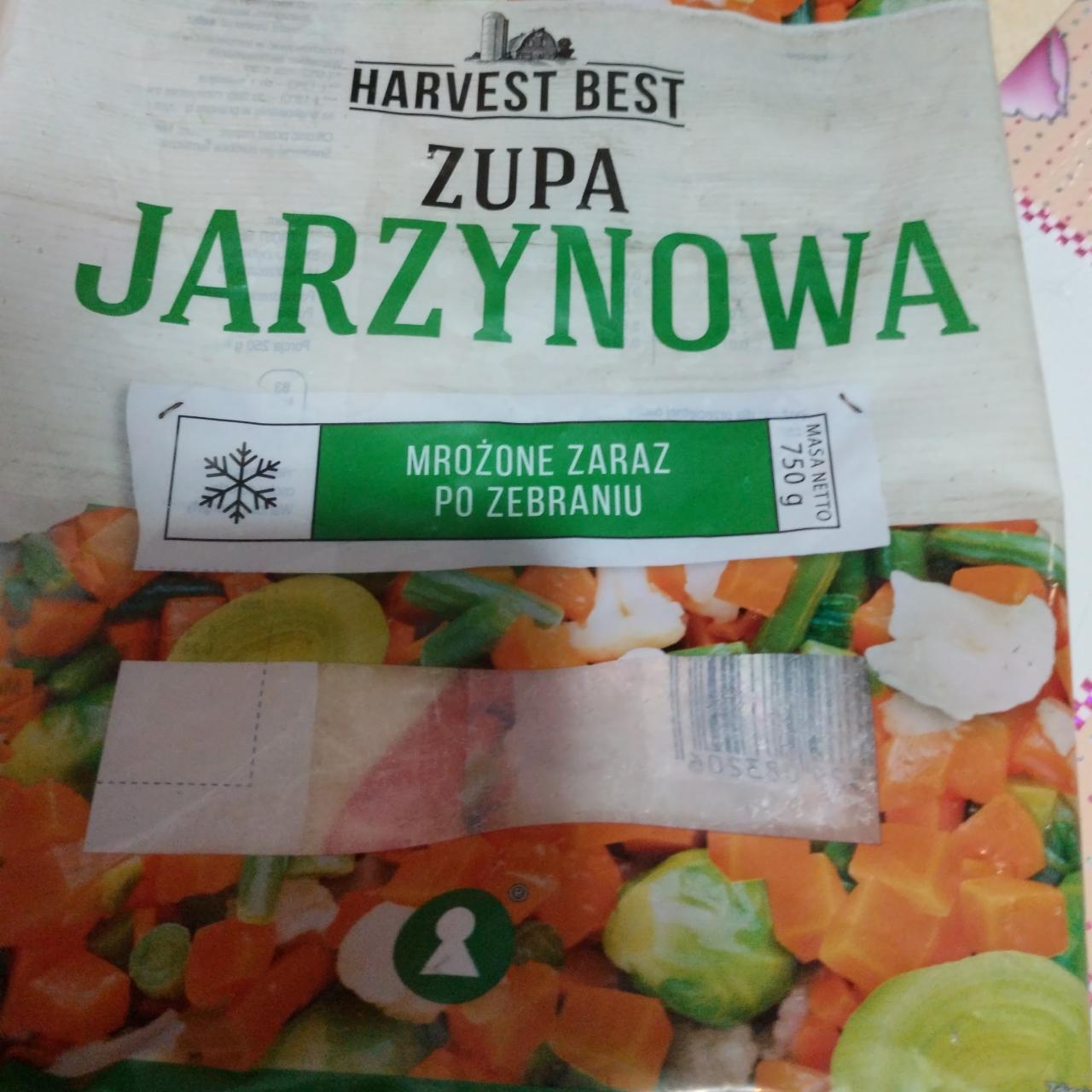 Zdjęcia - Zupa jarzynowa Harvest best