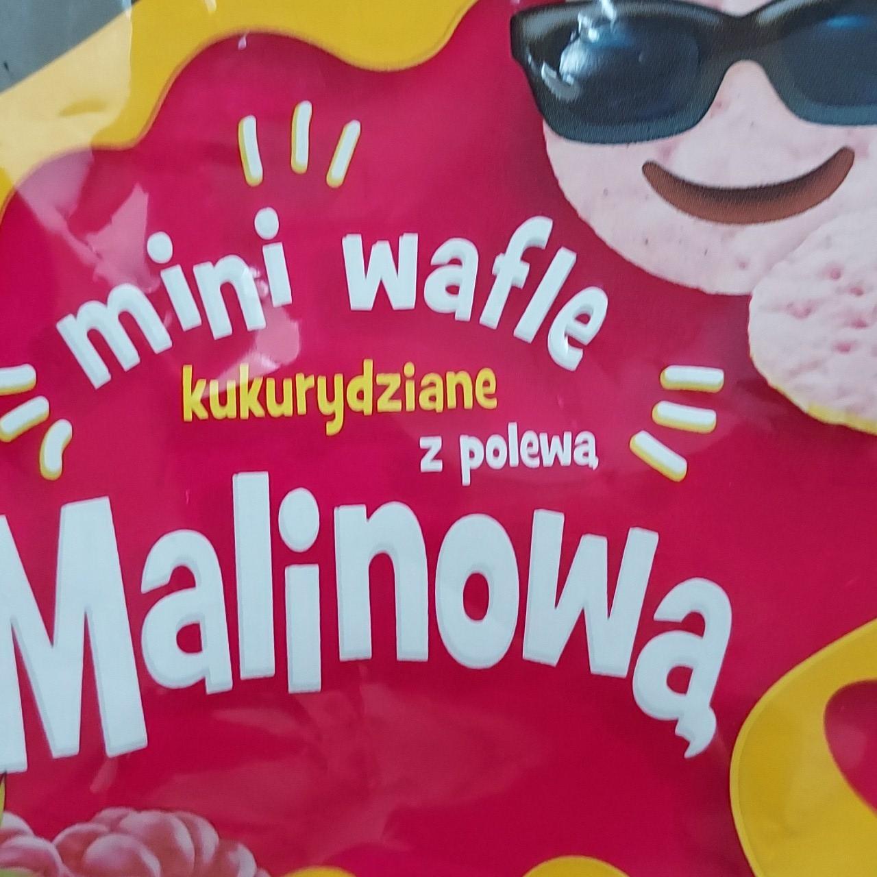 Zdjęcia - Mini wafle kukurydziane z polewą malinową Sante