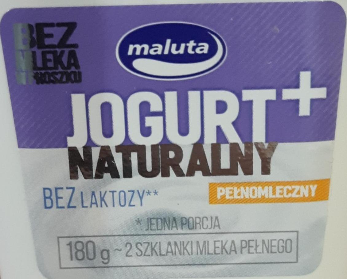 Zdjęcia - Jogurt naturalny + wysokobiałkowy bez laktozy Maluta