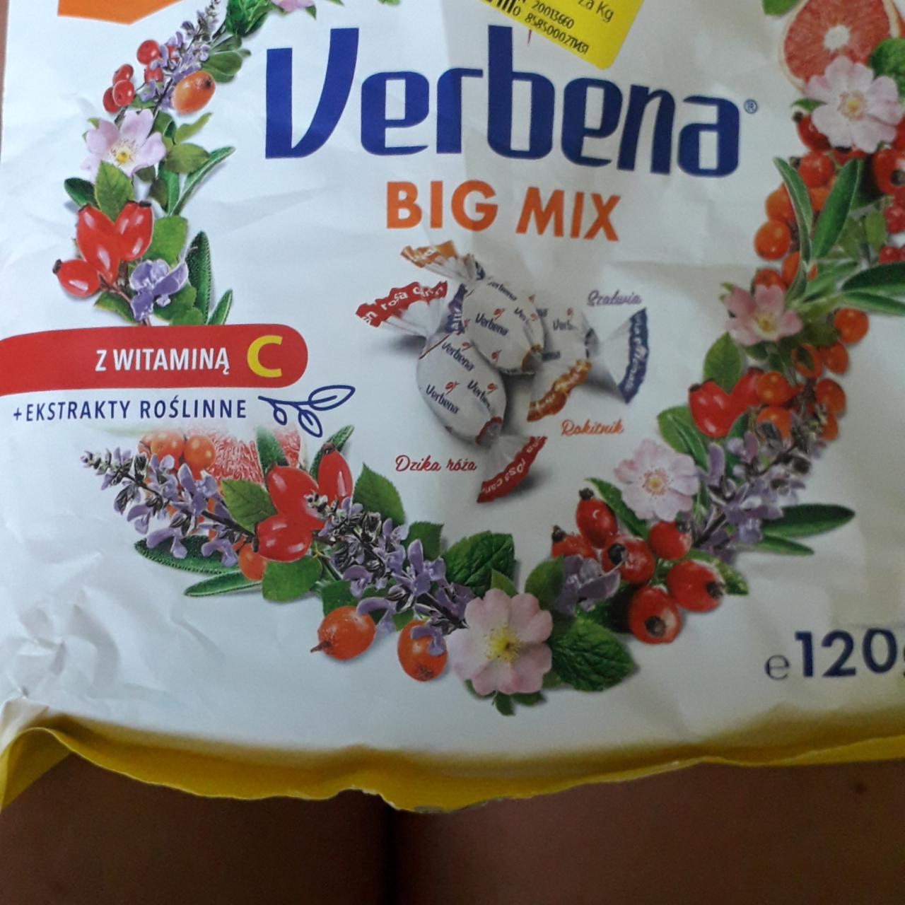 Zdjęcia - Big mix Verbena