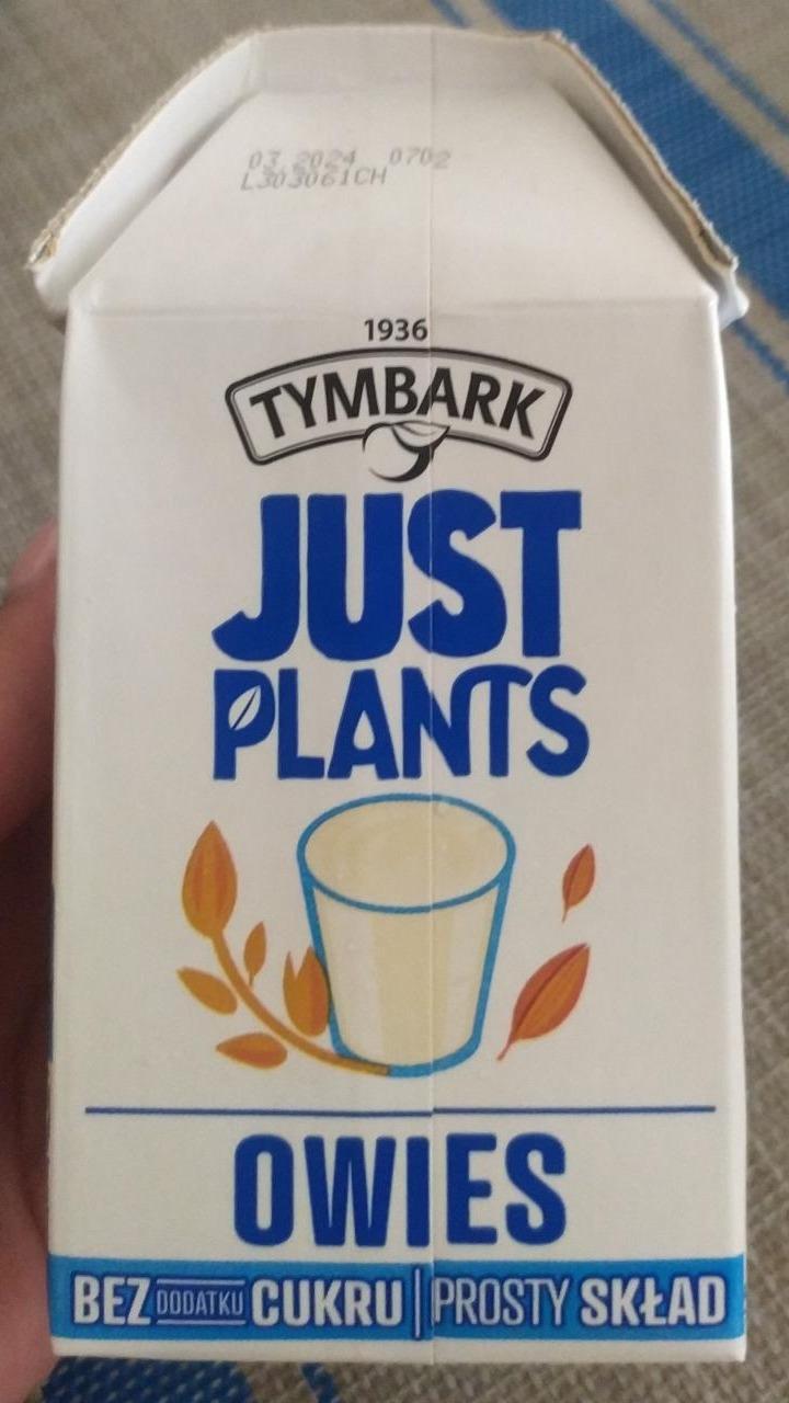 Zdjęcia - Tymbark Just Plants Napój owies 500 ml