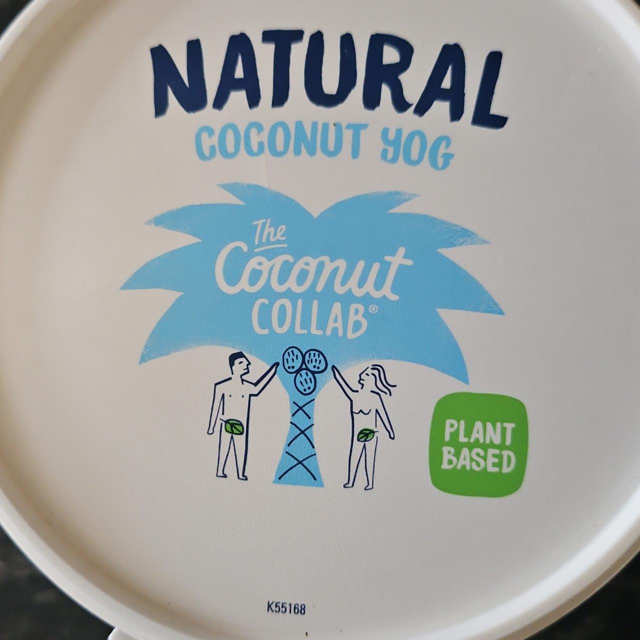 Zdjęcia - Natural coconut yog The Coconut Collaborative