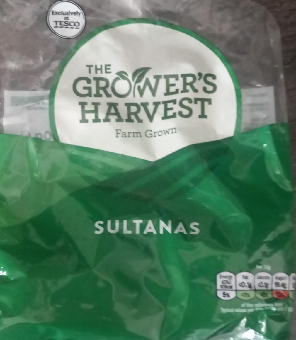 Zdjęcia - Sultanas The Grower's Harvest