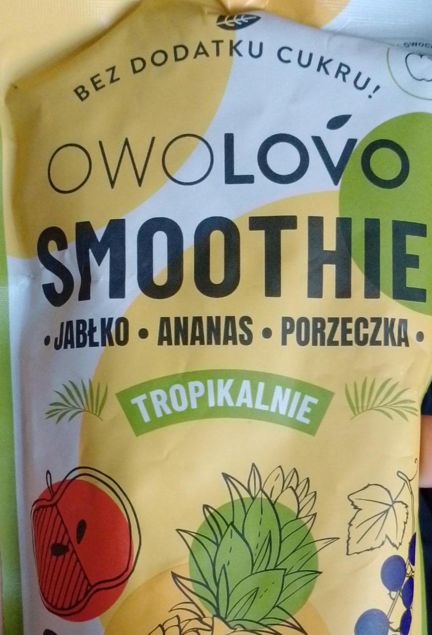 Zdjęcia - Smoothie jabłko ananas porzeczka tropikalnie Owolovo