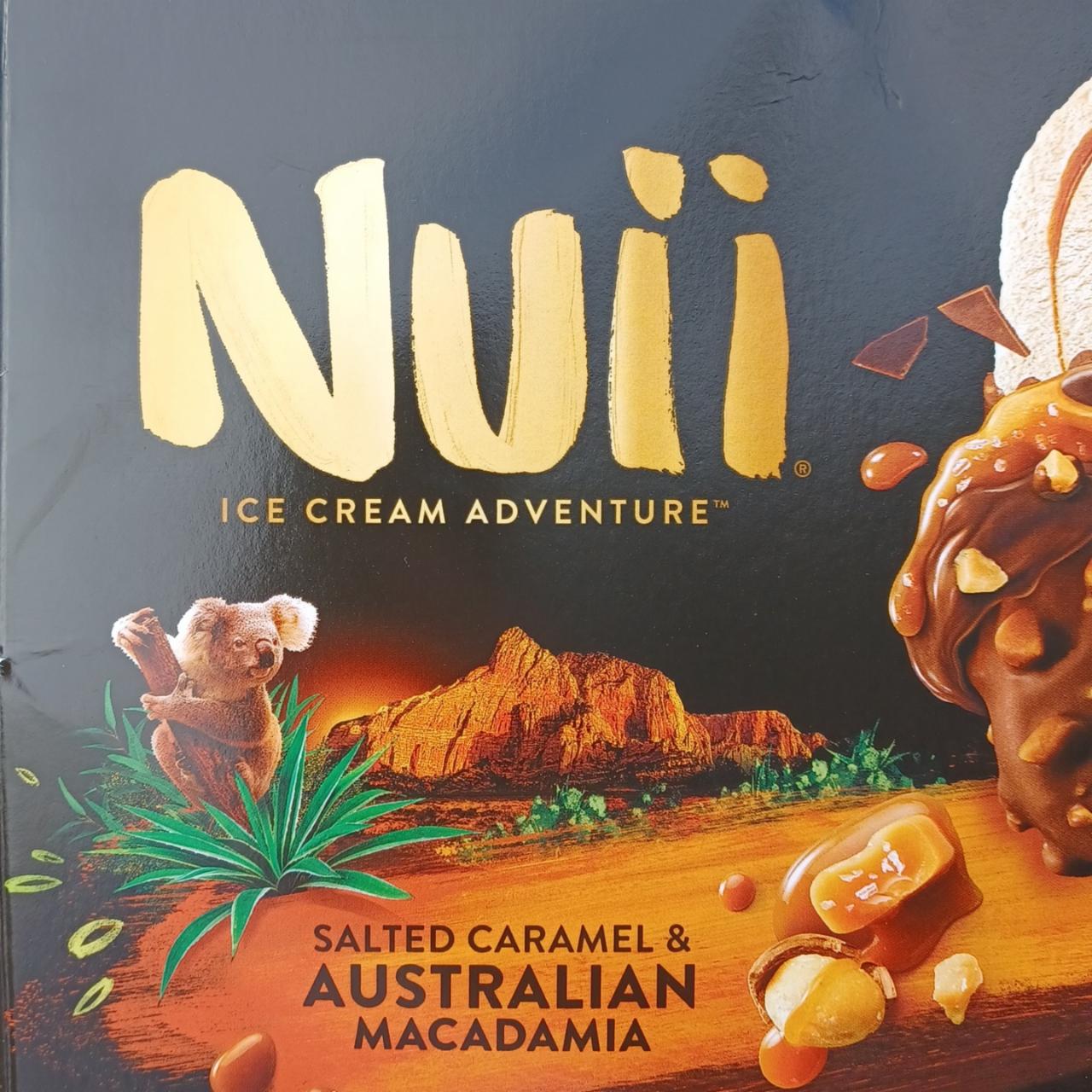 Zdjęcia - Lody Nuii salted caramel