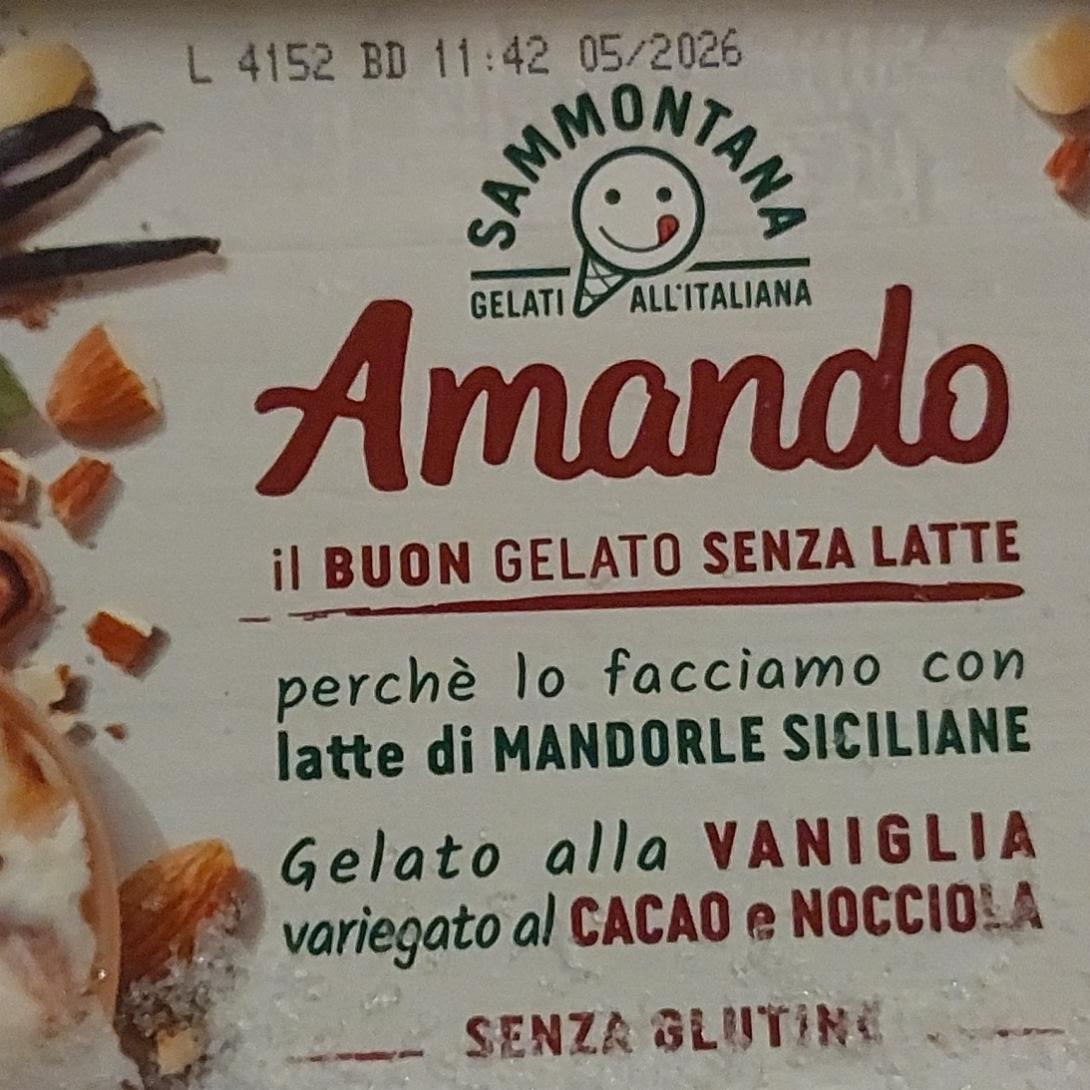 Zdjęcia - Amando vaniglia cacao e nocciola Sammontana