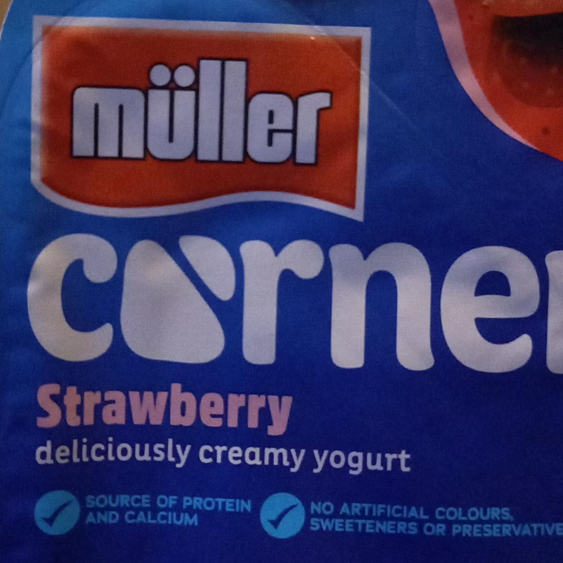 Zdjęcia - Corner strawberry Müller