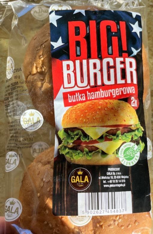 Zdjęcia - Bułka Burgerowa Big Burger