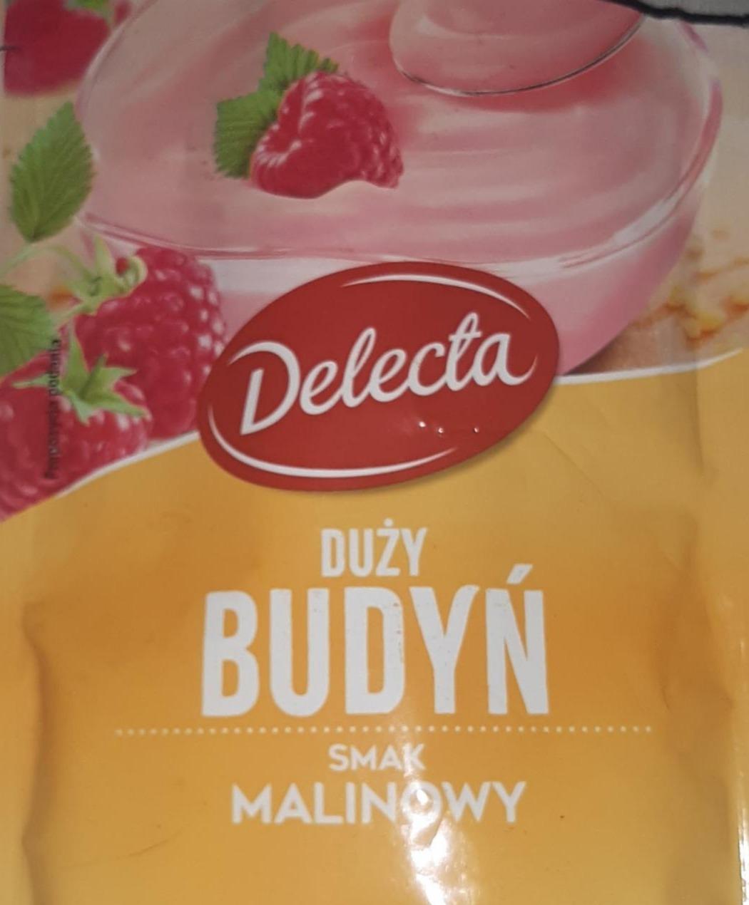 Zdjęcia - Duży budyń smak malinowy Delecta