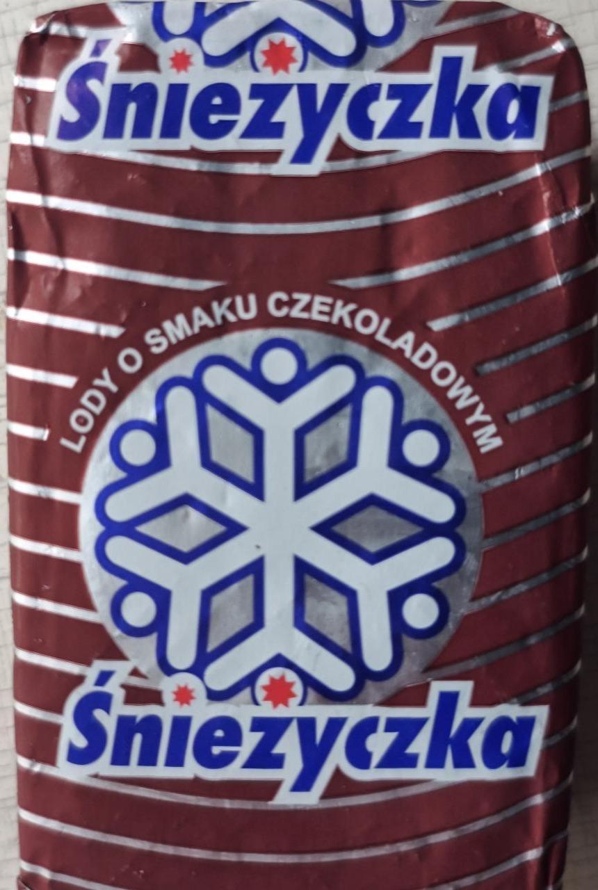 Zdjęcia - Lody o smaku czekoladowym Śnieżyczka