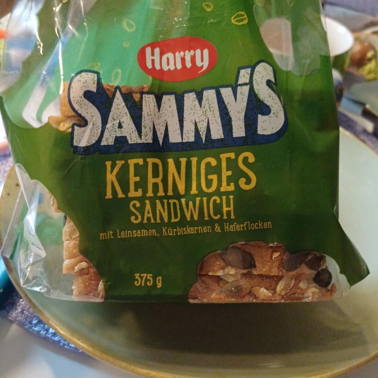 Zdjęcia - Sammy's Kerniges Sandwich Harry