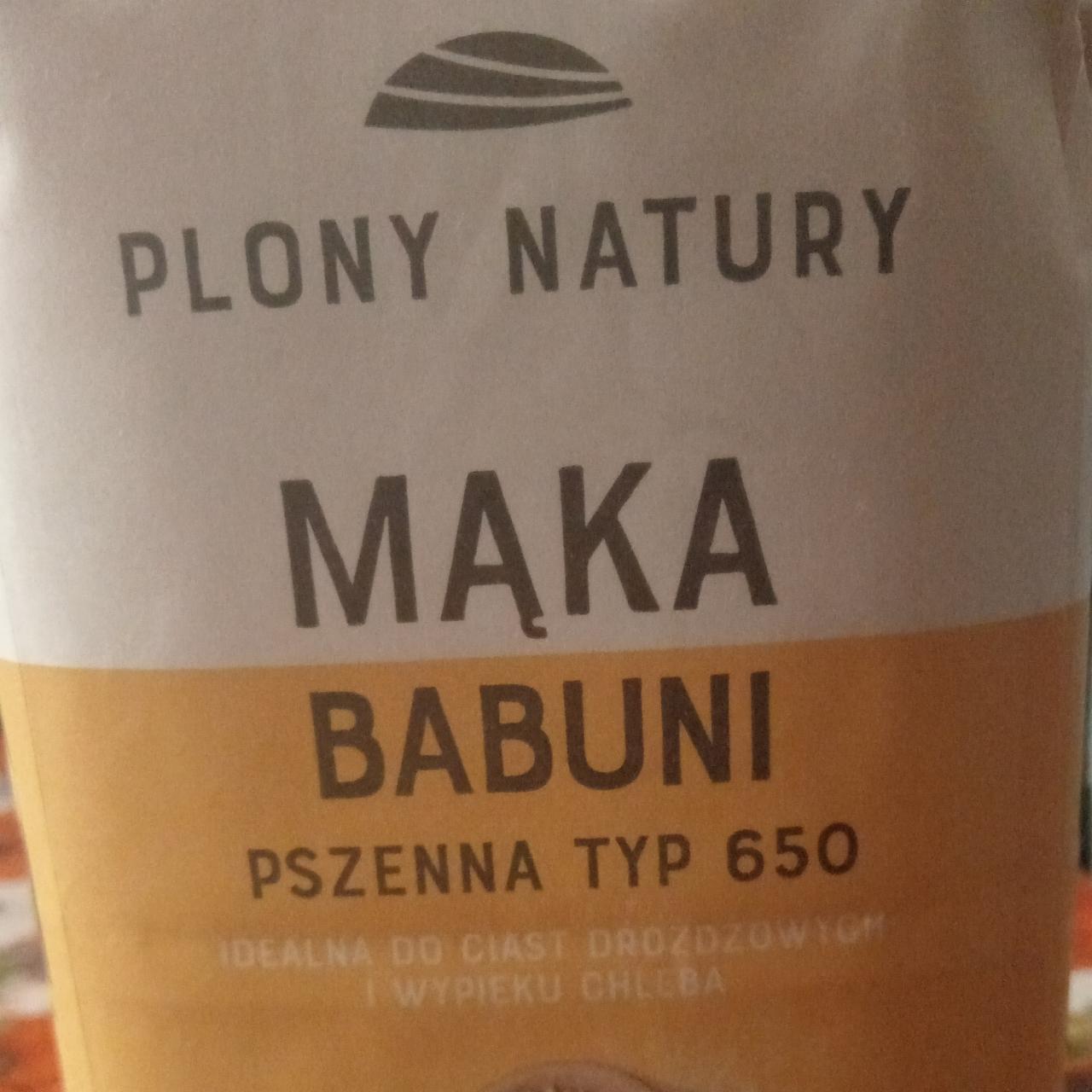 Zdjęcia - Mąka babuni pszenna typ 650 Plony Natury