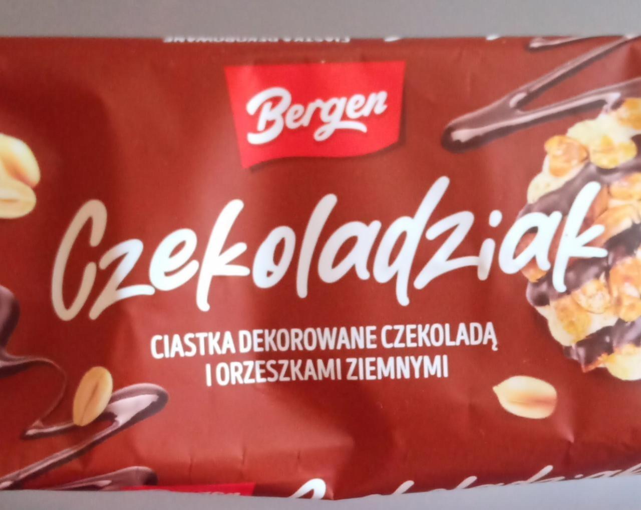 Zdjęcia - Czekoladziak ciastka dekorowane czekoladą i orzeszkami ziemnymi Bergen